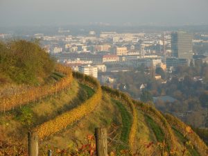 Weinprobe: Der Hohentwiel und sein Wein