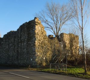 Burgenführung: Burgen auf der Reichenau und auf dem Bodanrück