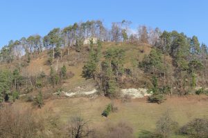 Exkursion: Burghalde Hüneberg bei Sipplingen und Kohlberg bei Ludwigshafen