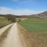 Exkursion: Den Hegau kennenlernen – Auf der Schweizer Straße